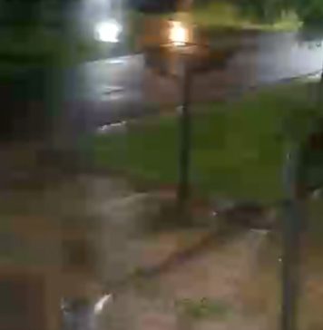 Saltó la reja de una casa de La Plata, robó las tarjetas que la víctima tenía en el auto y las usó en un local cercano