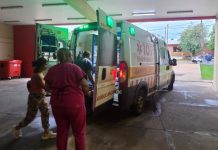 Salvaje ataque en Misiones: siete perros mordieron a un niño dentro de su casa y terminó con múltiples heridas