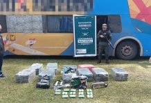 Trata de personas, inmigrantes ilegales y tráfico: todo lo que encontró Gendarmería al detener un micro en Salta