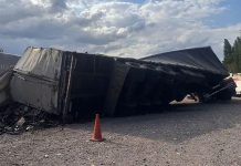 Video: volcó un camión que llevaba aceites de oliva y una influencer grabó cómo robaban la mercadería