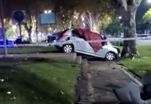 Accidente fatal en Villa Luro: una mujer murió tras chocar contra un árbol