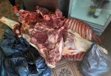 Allanaron una carnicería por robo de ganado, pero descubrieron más de 180 paquetes con marihuana en un freezer