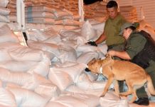 Condenaron en Rosario al jefe de una organización que traficó casi 500 kilos de cocaína