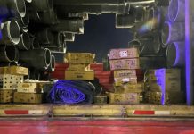 Decomisaron un camión que transportaba de forma ilegal más de 500 aves silvestres en Santa Fe