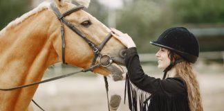 Del turf al polo: cómo el caballo se convirtió en una industria clave para la Argentina