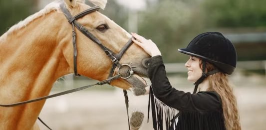 Del turf al polo: cómo el caballo se convirtió en una industria clave para la Argentina