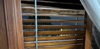 Entraron por la ventana, los golpearon y los amenazaron: brutal robo a una jubilada y su nieto en La Plata