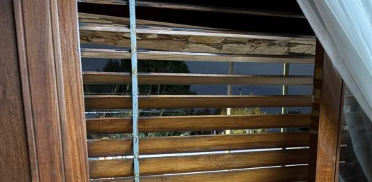 Entraron por la ventana, los golpearon y los amenazaron: brutal robo a una jubilada y su nieto en La Plata