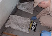 Incautaron 16 kilos de cocaína en un buque italiano en el puerto de Zárate