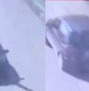 La prueba clave: cómo y cuándo entró Barrelier al descampado donde encontraron los restos de Agostina Vega