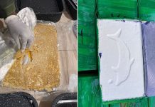 Pasta base en asaderas y cocaína entre mantas: hallaron más de 60 kilos de droga en un micro y detuvieron a una mujer