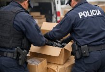 Pidieron llevar a juicio a 34 personas acusadas de traficar armas entre Argentina y Chile