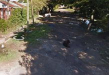 Rescataron a una mujer de un violento ataque por parte de su pareja en La Plata