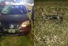 Un niño de 9 años perdió la vida en la Panamericana tras ser embestido por un auto y detuvieron al conductor
