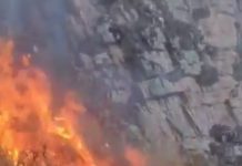 Vecinos intentaron ahuyentar a un puma con fuego y causaron un incendio que ya quemó 40 hectáreas
