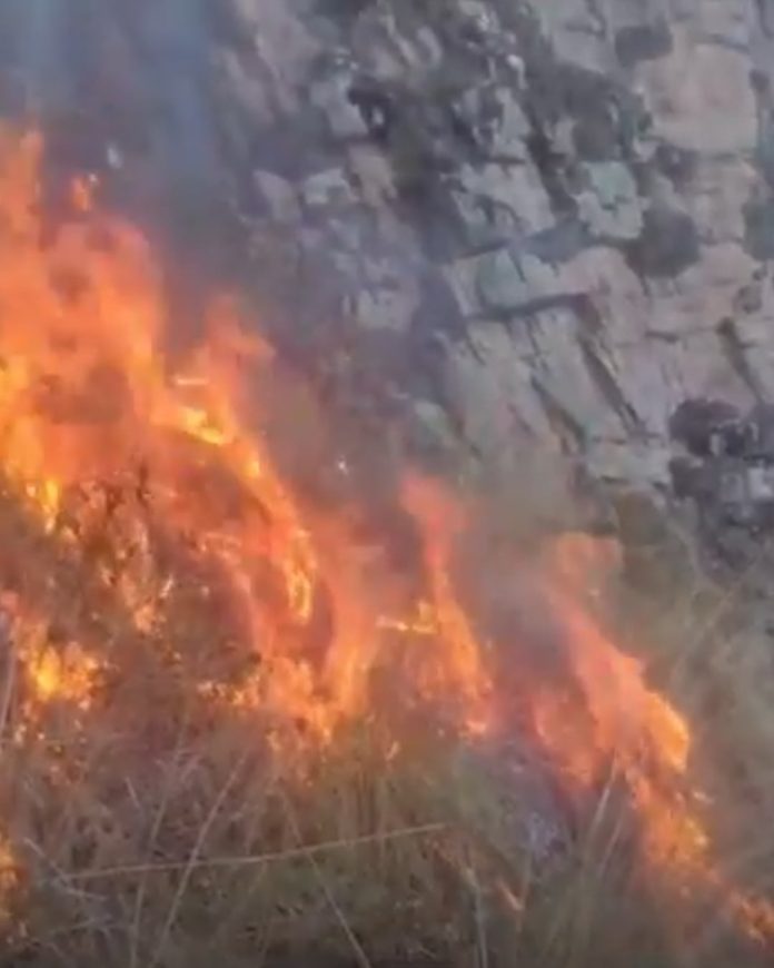 Vecinos intentaron ahuyentar a un puma con fuego y causaron un incendio que ya quemó 40 hectáreas
