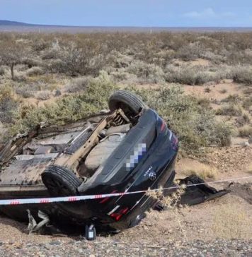 Choque frontal en Neuquén: quién era el joven que murió al impactar su auto contra un camión