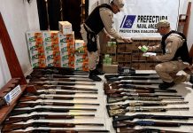 Decenas de rifles y animales disecados: el millonario decomiso en un coto de caza de Entre Ríos investigado por presunto tráfico de fauna