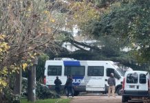Los primeros detalles oficiales de la muerte del Indio Solari: lo encontró su cuidadora al lado de la pileta