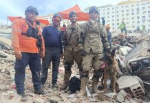 Quién es “Bart”, el perro argentino que ayudó en el rescate de dos niños atrapados entre los escombros en Venezuela