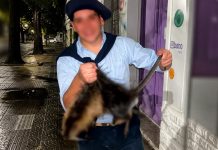 Repudiable caso de maltrato animal en Bahía Blanca: la denunciante anticipó que “habrá juicio y antecedentes de por vida”