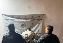 Tiroteo y gritos en La Plata: un joven con pedido de captura fue detenido por disparar contra una casa