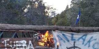 Chubut: preocupación por el sobreseimiento de mapuches que habían sido condenados por usurpar tierras en un Parque Nacional