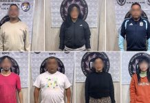 Cinco meses de investigación, escuchas y GPS: desbarataron una banda que trasladaba 200 kilos de cocaína de Salta a Buenos Aires