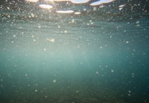 El nuevo lujo silencioso: agua propia y lagunas artificiales, el sueño de las clases altas
