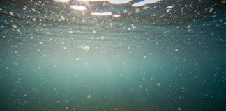 El nuevo lujo silencioso: agua propia y lagunas artificiales, el sueño de las clases altas