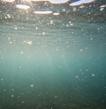 El nuevo lujo silencioso: agua propia y lagunas artificiales, el sueño de las clases altas