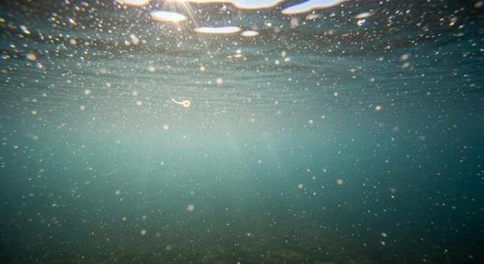 El nuevo lujo silencioso: agua propia y lagunas artificiales, el sueño de las clases altas