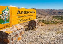 Investigan la muerte de un hombre en Neuquén: presentaba heridas cortantes y la puerta estaba trabada desde adentro