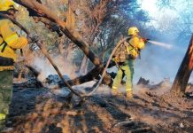 La Justicia de Salta imputó a un hombre por los incendios en Cafayate