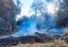 La Justicia de Salta prohibió realizar loteos en un terreno de Cafayate incendiado hace dos meses