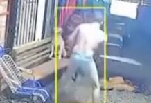 Misiones: detuvieron a un hombre por maltrato animal tras la viralización de videos donde les pegaba a perros con un bate
