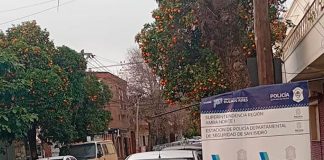 Robaron una camioneta en zona norte, quedaron grabados por una cámara de seguridad y los detuvieron: así cayó la banda