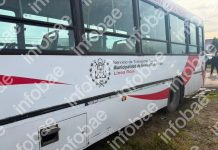 Se realizaron las pericias mecánicas al colectivo que protagonizó el siniestro vial de Mar del Plata: qué arrojaron los resultados