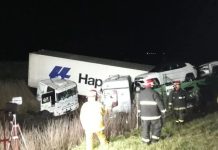 Un camión que transportaba autos 0 km chocó contra otro en la Ruta 2 y terminó en la banquina