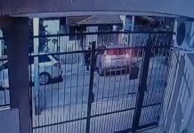 Un hombre de 73 años fue asesinado en un ataque de viudas negras en Vicente López: hay dos detenidos