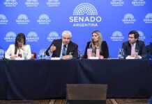 Senado: aliados de la UCR, el PRO y el PJ disidente frenaron el dictamen del Súper RIGI